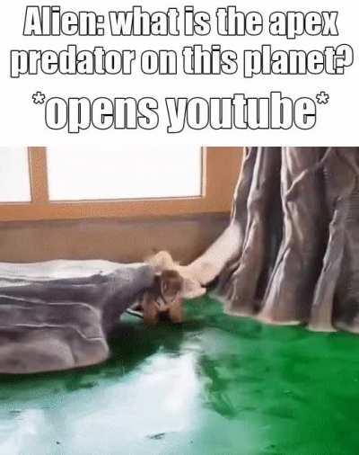 f#ck this planet.....I'm leaving