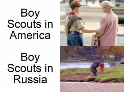 What do you mean you, 