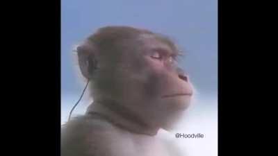 Saw this on insta and knew I could remake it better