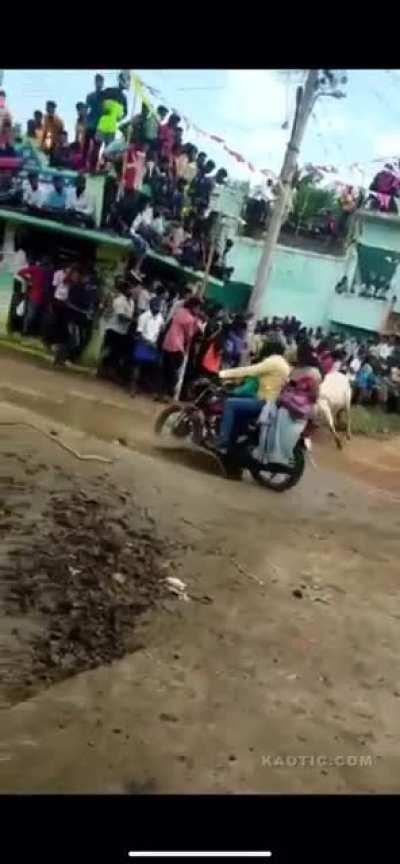 Doesn't matter who you are or what you've done. The bull will get you no matter what