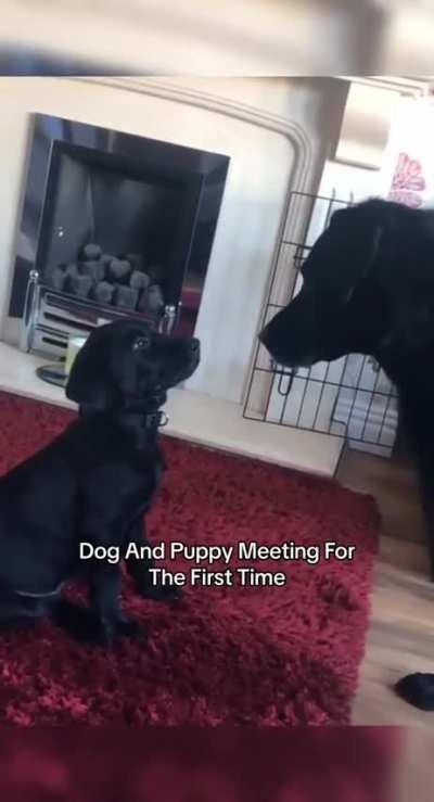 And they will be besties for ever