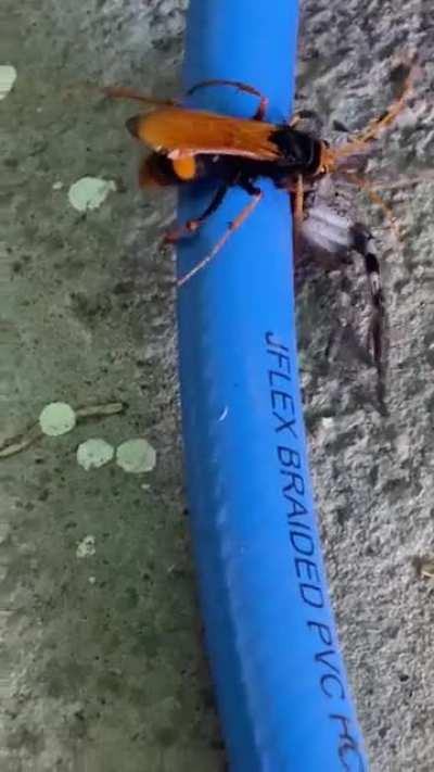 My garage, Australia.