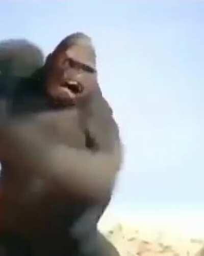 A freind sent me this without context