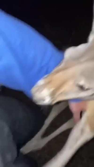 I can't come up with a title