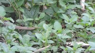 When the hydraulics start messing up