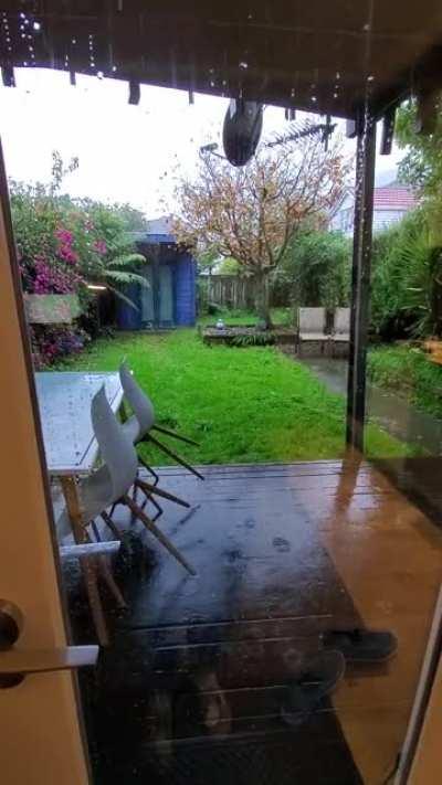 Rain in my backyard