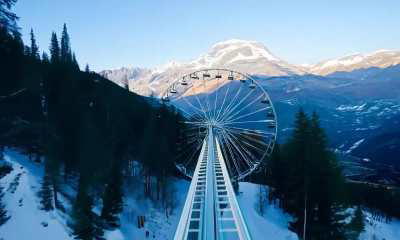 When surrealism meets realism (Part 2)