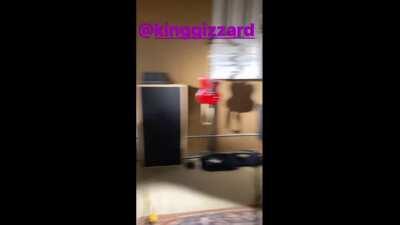 King Gizzard everyone