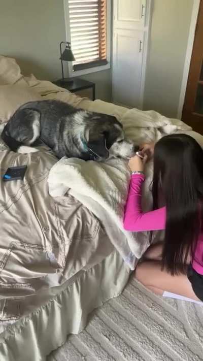 Made for each other ❤️