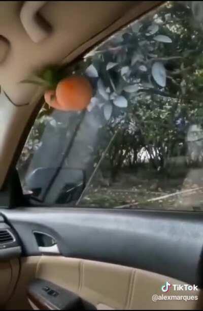 existe pessoas azaradas existe pessoas com muita sorte e existe esse homem