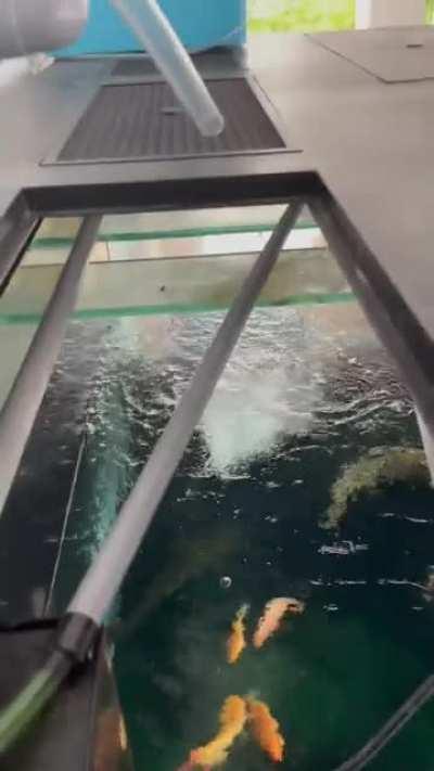 easy(lazy) way to do water changes with no mess