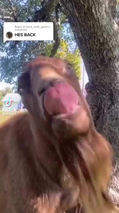 jakertown - Video #7379