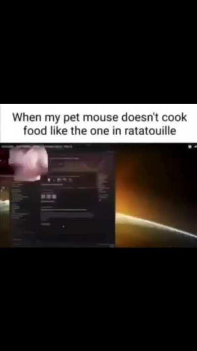 Rat