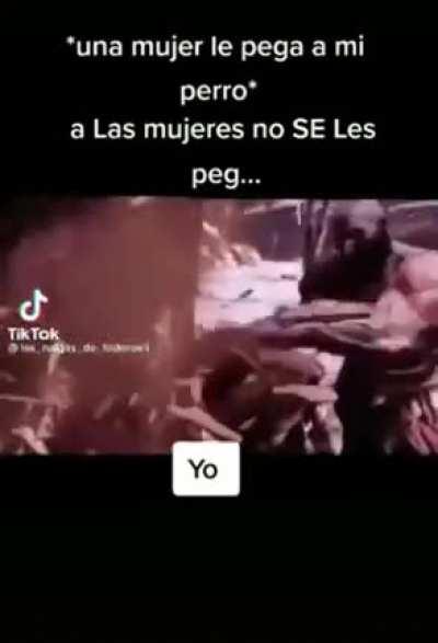 Me paso algo similar solo que fue con mi gato esponjoso y chiquito.