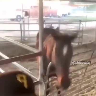 Alguém sabe o nome desta music?