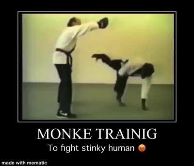 Karate monke 🐒