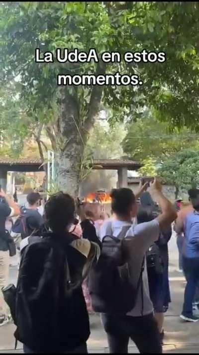 Entra a la universidad me decían, ve a estudiar y sé alguien.