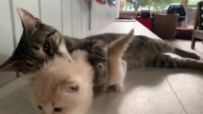 Filthy criminal forced to be clean