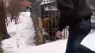 Этот дебил опять к ней лезет