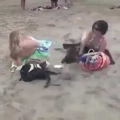 A gamer after playing battlefield V, terrorizing the public