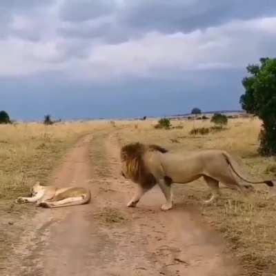 just small things in family 🤦‍♀️