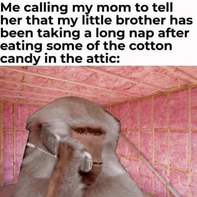 Those cotton candy must've been really tasty