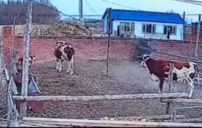 Their reaction is priceless