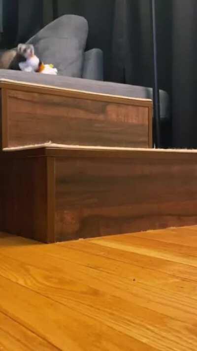 Who stole Lucy’s toy?