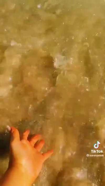 @karenSelvik on TikTok