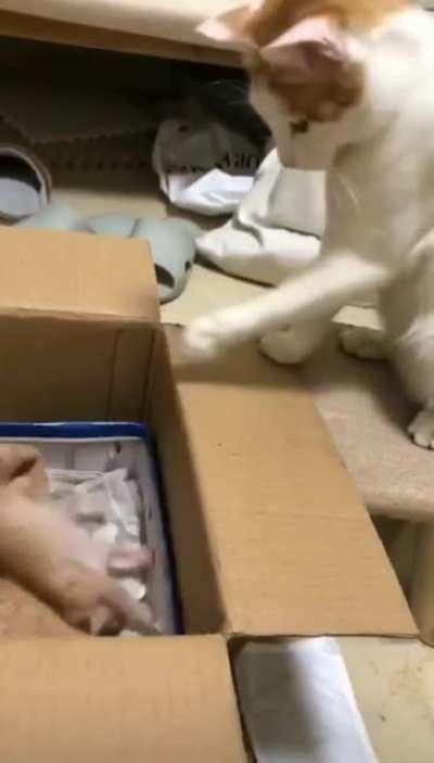 Mama give you a hand here!