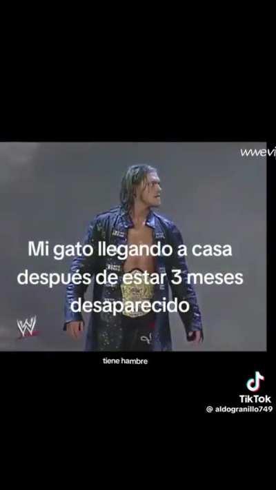 Prefiero a los perros