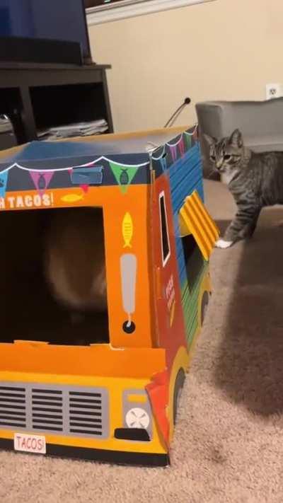 Waffles house service don't place😂😂