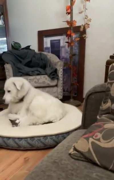 “Are you going to do something about this?” - Both