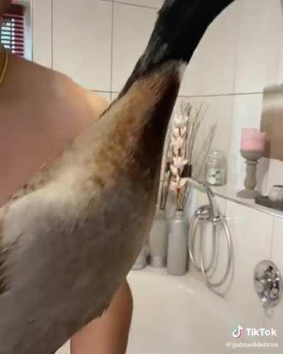 #freeEDDIEdeEEND MAN komop