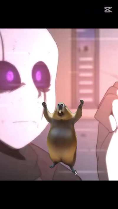 Full rage Gaster 💀👌🏻