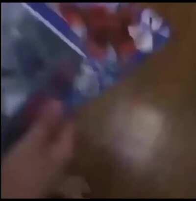 pyrocynical - Video #1340