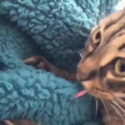 The feeling you get when you know... 'Uh oh, I shouldn't have licked this'