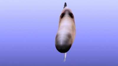 wen u forget abt the fat layer of kief u put in the bowl