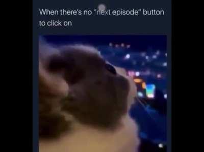 Japanese Song. I think it is from an Anime.