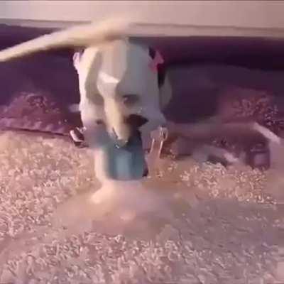 Thanks I hate NSFW this guy