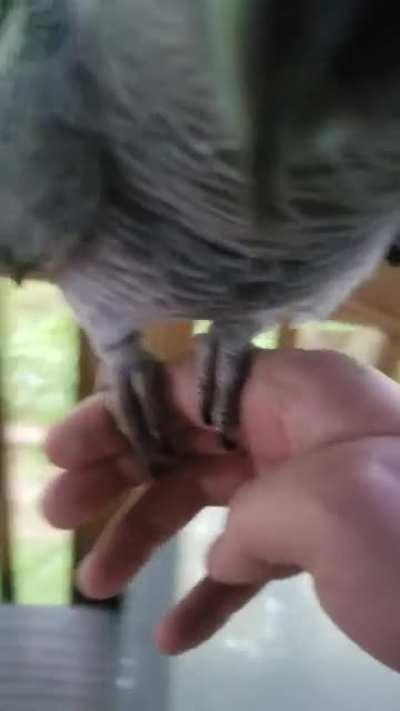 Watching a thunderstorm with Nikkibird