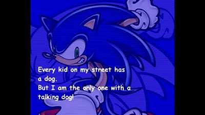 Sonic the dog