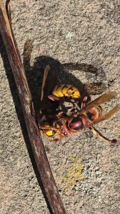 What is happening here?