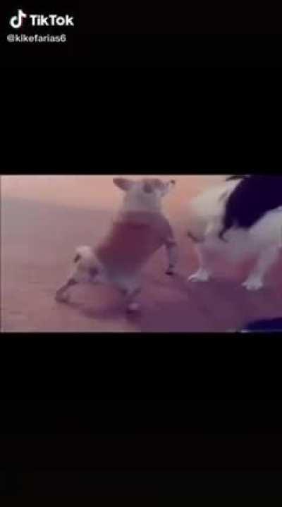 Nose, pero me dio demasiada risa ):