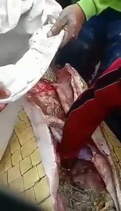 #8 ALL OF them from r/eyeblech r/MakeMyCoffin r/NSFL__