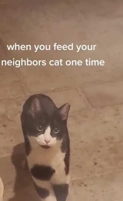 Congrats on the new cat