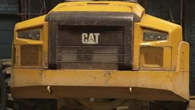 Don't you hate it when you enter the garage and your cat gives you this look?