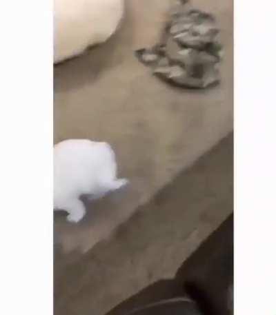 Batteries almost dead and…bedtime!