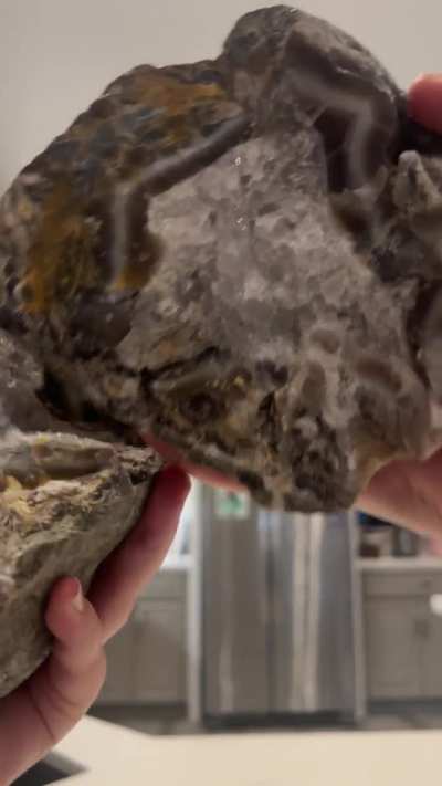 One of my favorite local finds. It cracked so perfectly! 