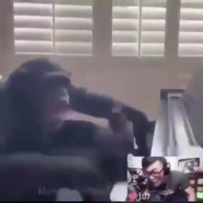 HE'S OVERSTREAMING!!